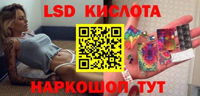mdpv Заводоуковск