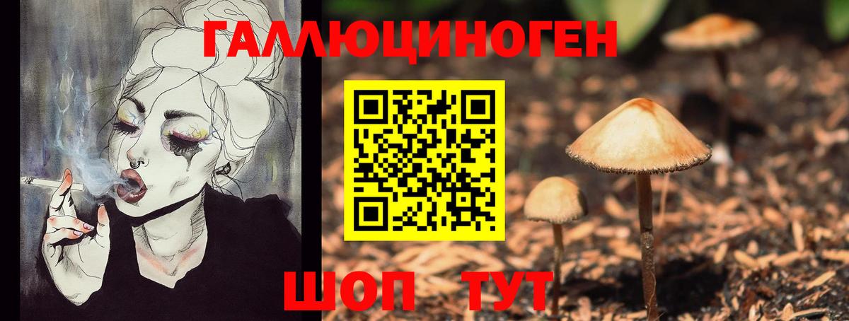 Галлюциногенные грибы Cubensis Лосино-Петровский